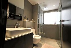 Cluny Park Road (D10), Terrace #636251781